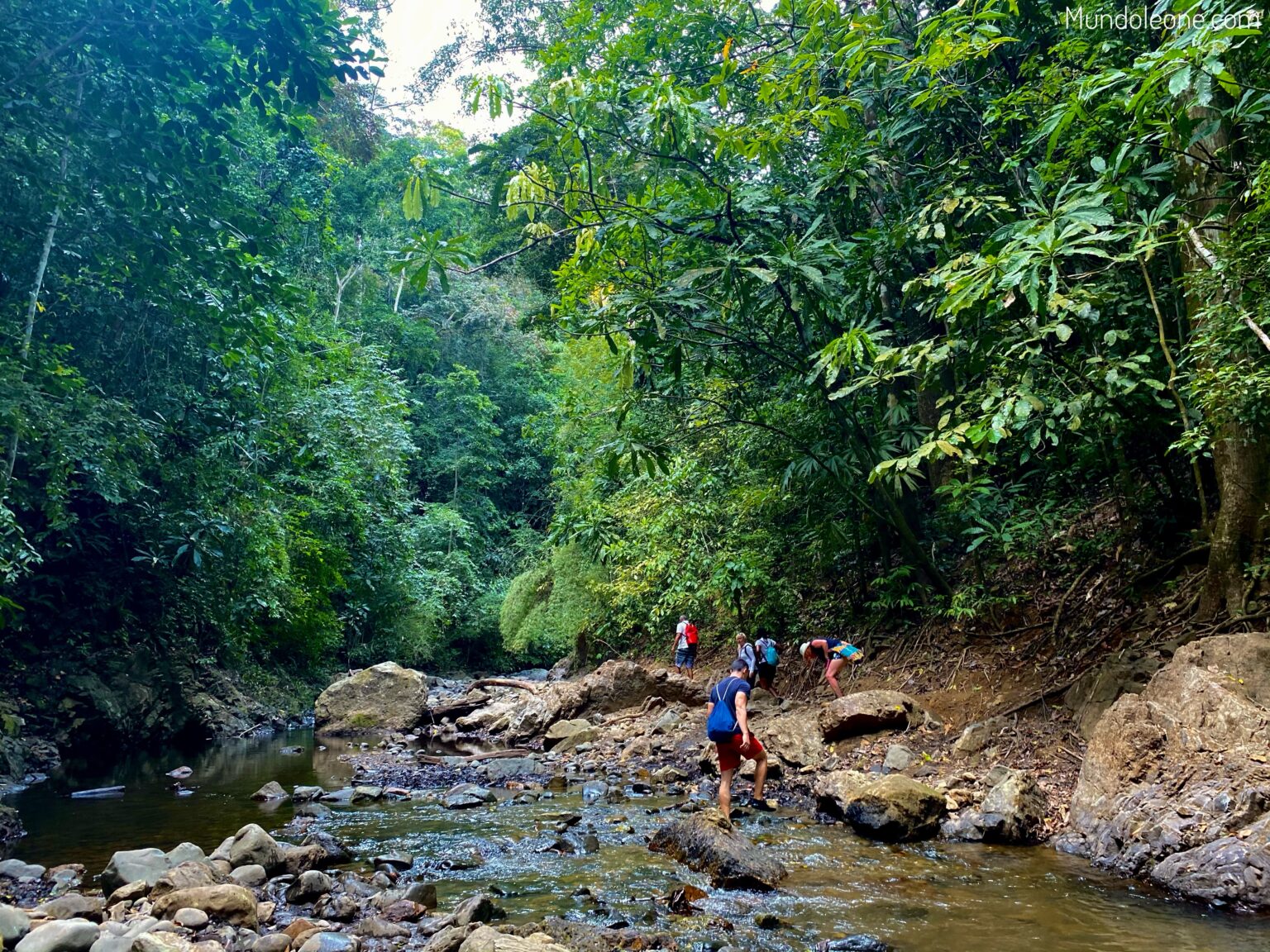 Emberá population sustainable guide, hike to waterfall