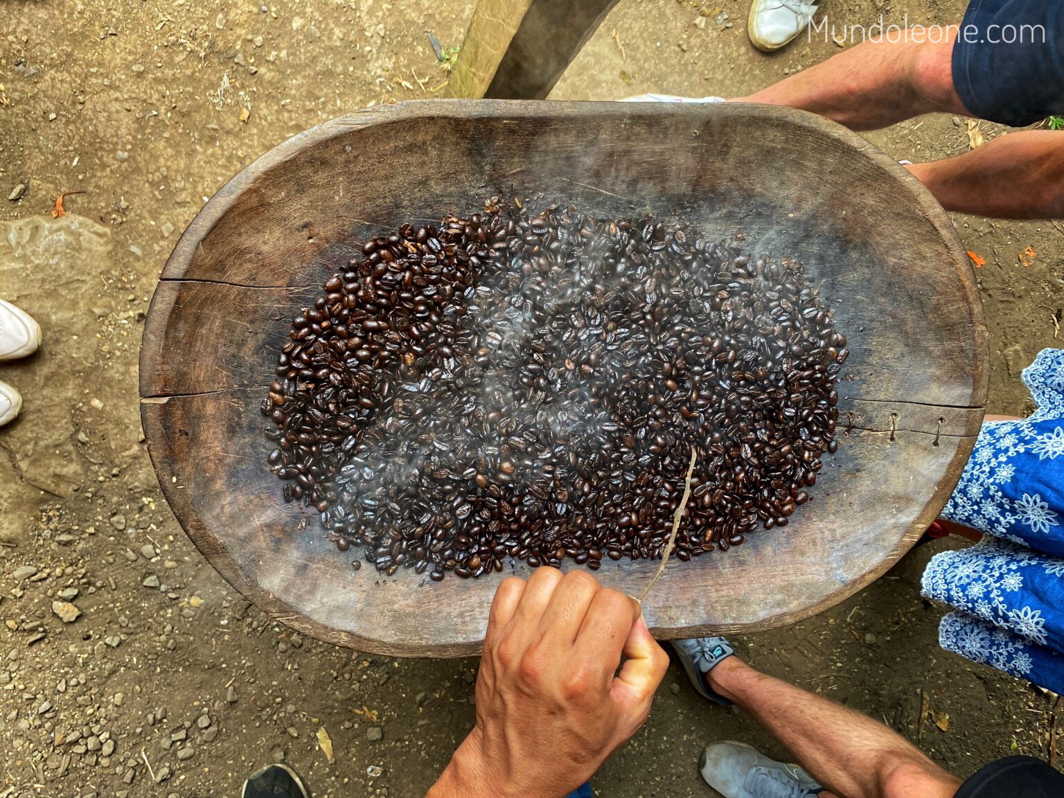 Valle de La Mina guide, Sustainable coffee tour
