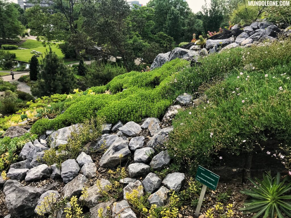 Botanic Utrecht, The Netherlands, Rock garden