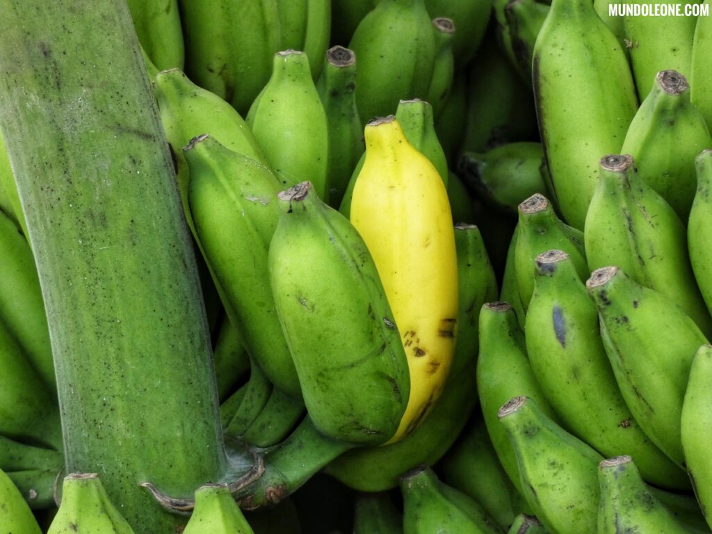 10 Interesting facts of India, valhalla for vegetarians, banana's