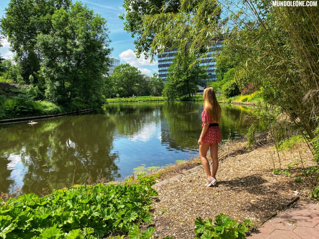 Gardens, Utrecht, The Netherlands, springtime, lake, bamboo