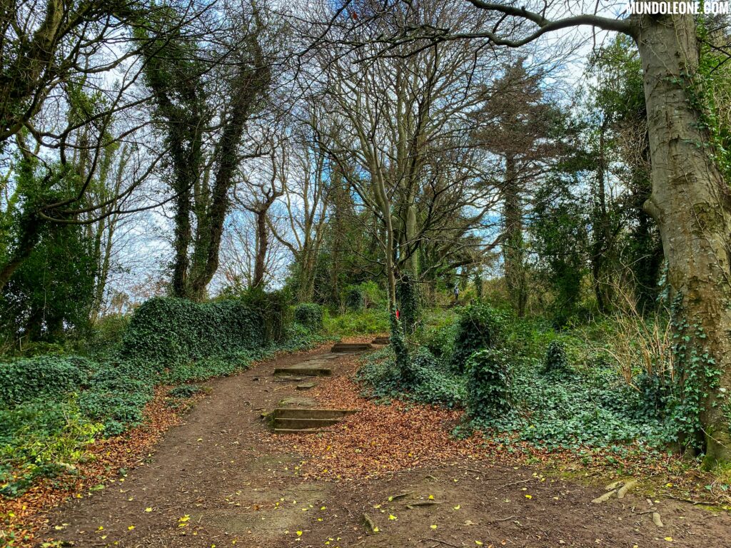 Dublin online travel guide, Killiney Hill forest